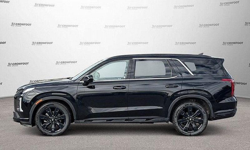 2025 Hyundai Palisad...