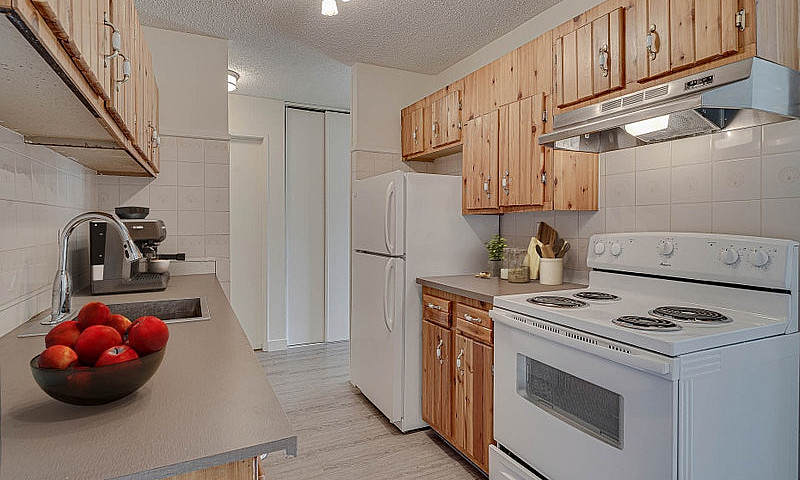 1 Bedroom Basement -...
