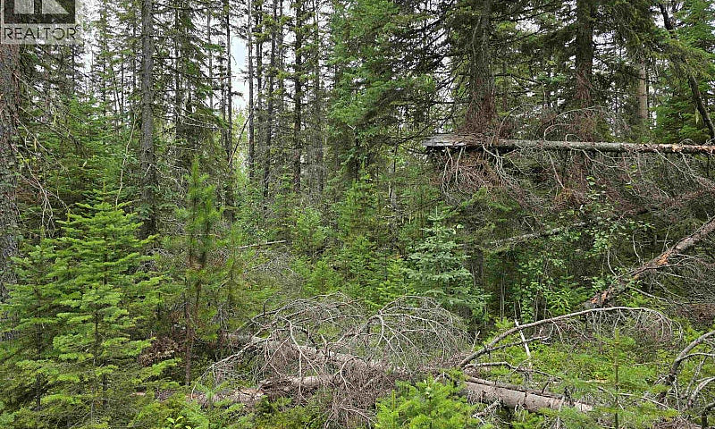 Lot 5 Bowron Lake Ro...