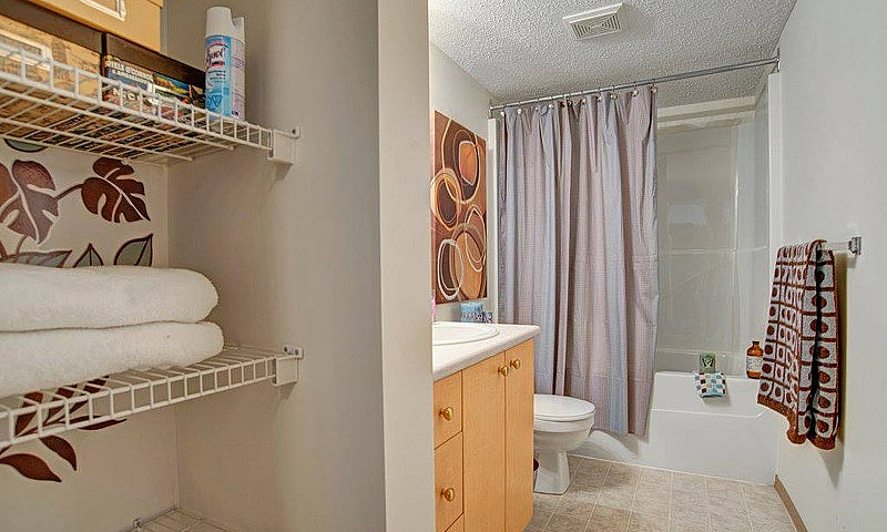 2 Bed X 1 Bath Apart...