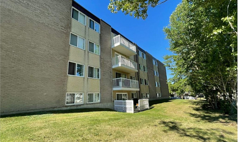1 Bedroom Apartment ...