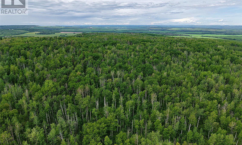 231 Road Dawson Cree...