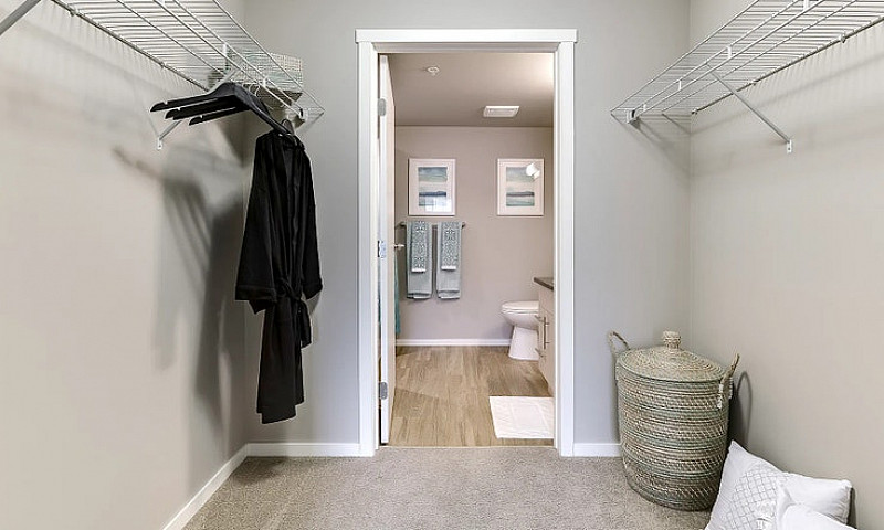 Pet-Friendly One Bed...