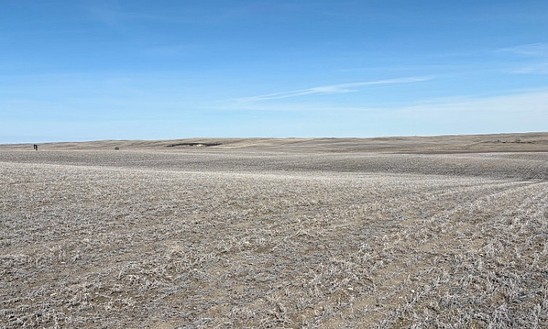 Farm Land For Sale W...