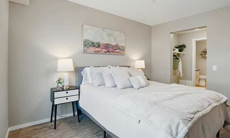 Pet-Friendly Three B...
