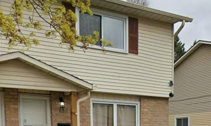 13 - 20 Mayfield Ave...