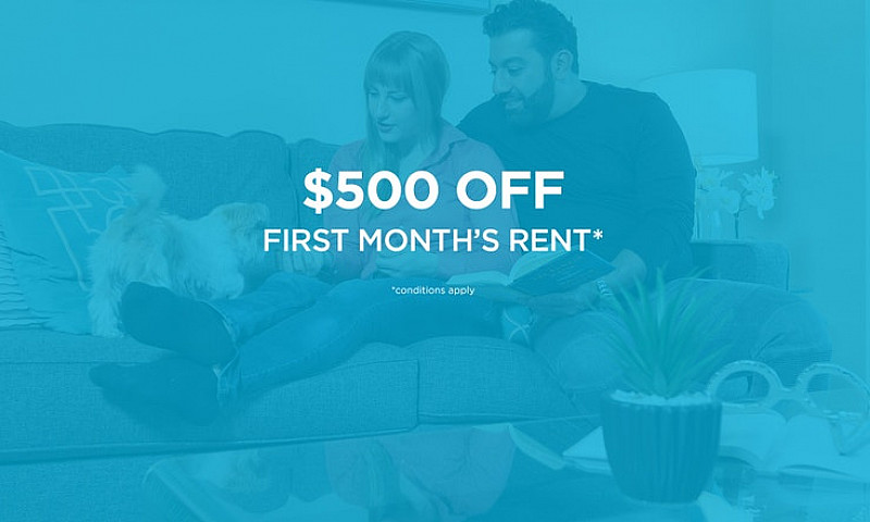Pet-Friendly Three B...