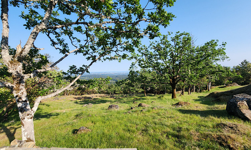 Elevated Acreage Wit...