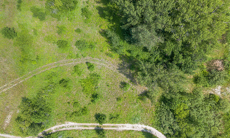 Lot For Sale: 1444 T...