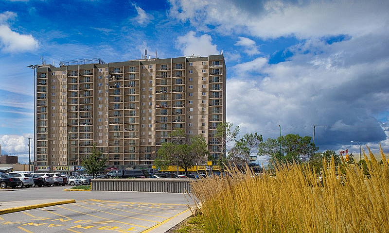 Towers Of Polo Park:...