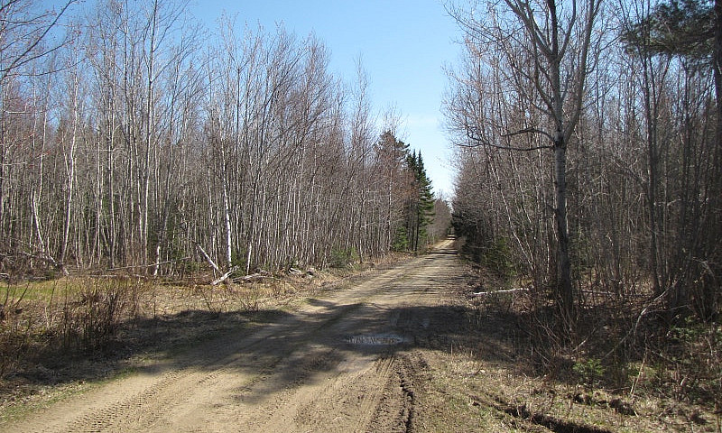 New Price, 11 Acres ...