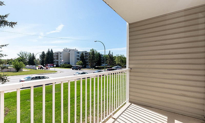 1 Bedroom Basement P...