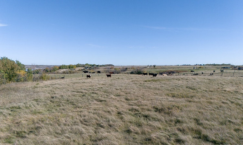 258.45 Acres | Rm Of...