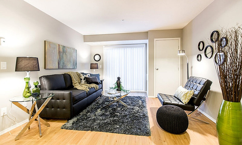 Pet-Friendly One Bed...