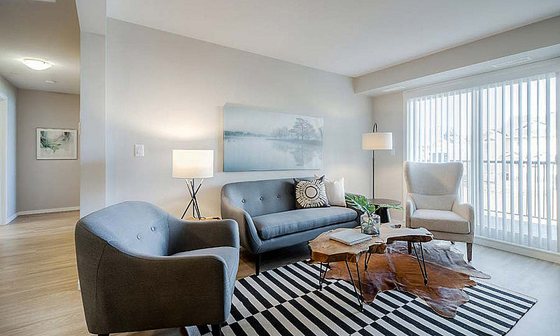 Pet-Friendly One Bed...