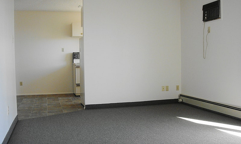 Large Newly Renovate...