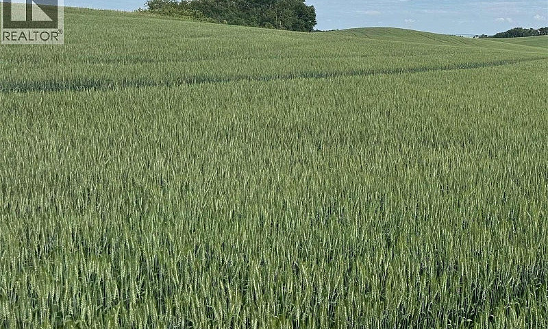 Gauthier Farm Keys R...