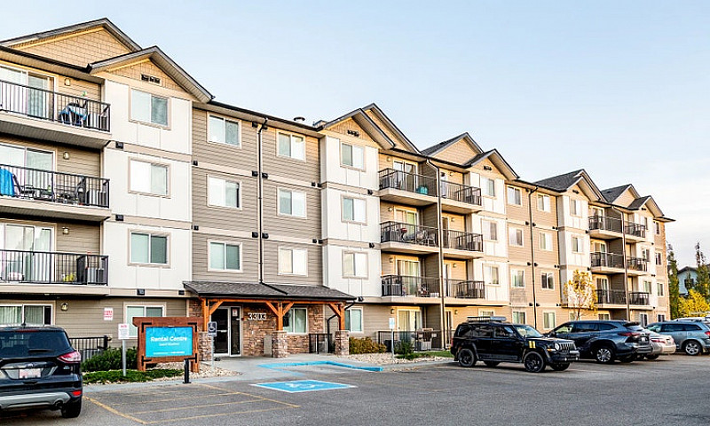 Pet-Friendly Three B...