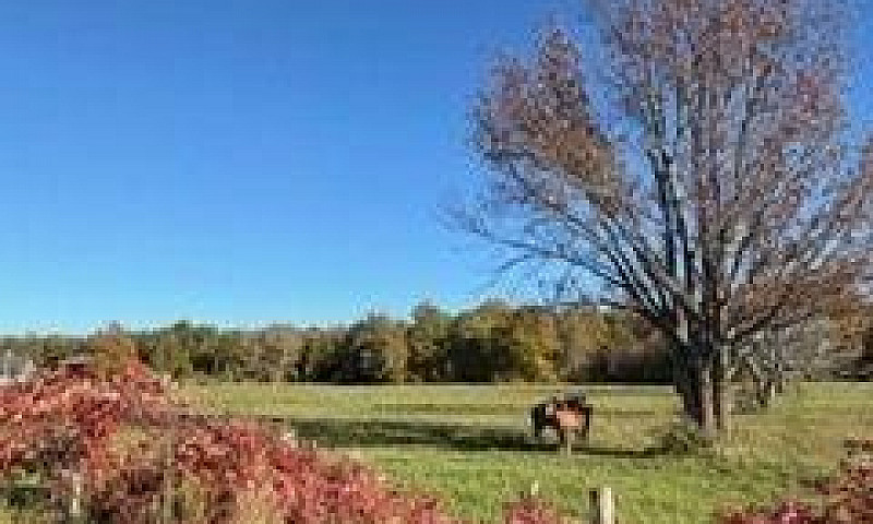 504054 Grey Rd 1 Roa...