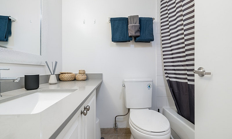 Somerset - 1 Bedroom...