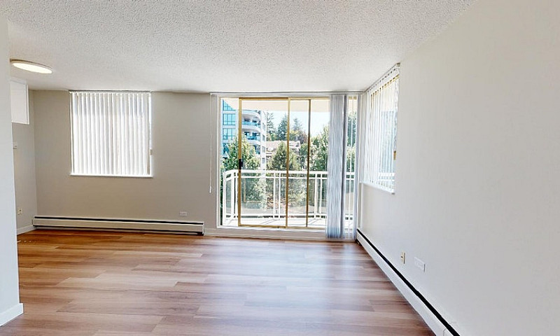 Apartment For Rent A...