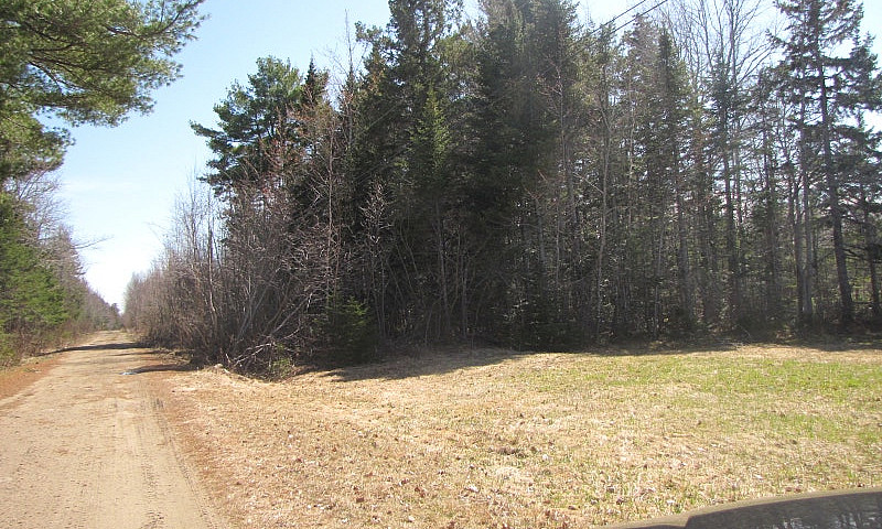 New Price, 11 Acres ...