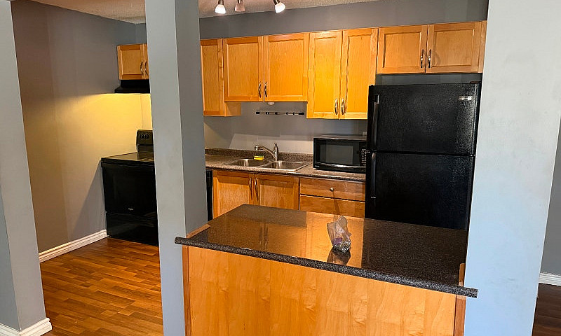 Apartment For Rent...