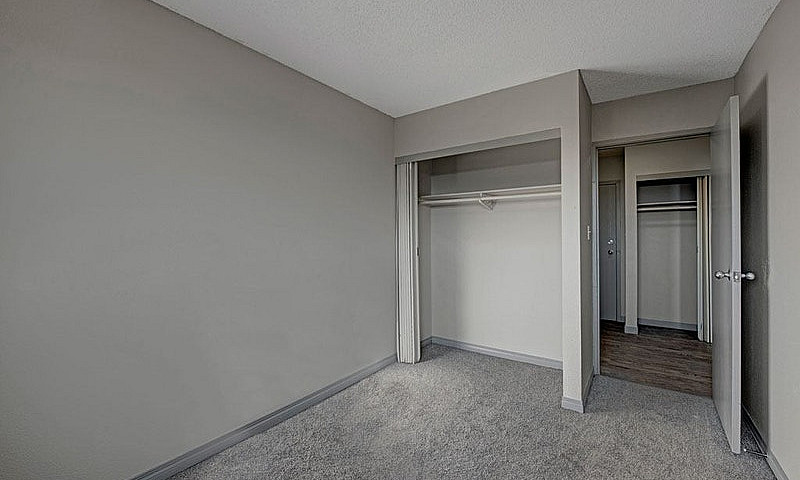1 Bed X 1 Bath Apart...