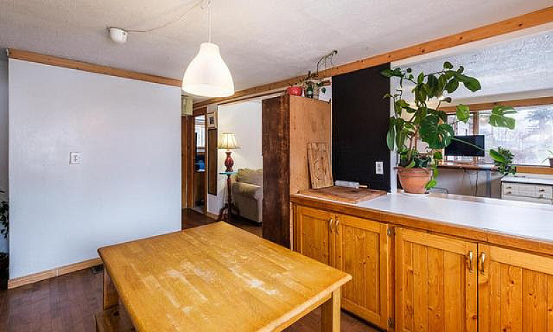 Home, Cabin & Shop I...