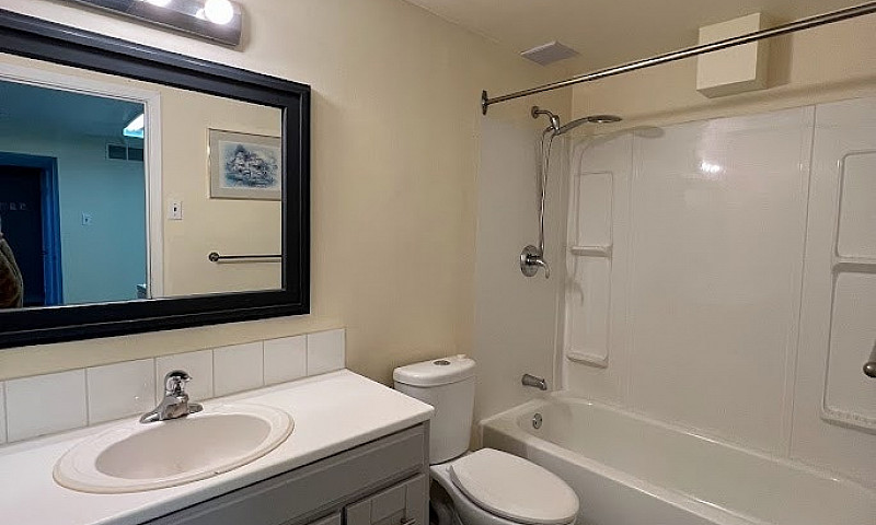 1 Bedroom Walkout Ba...