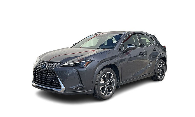 2025 Lexus Uxh 300H ...