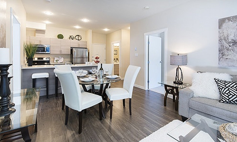 Bachelor Suites For ...