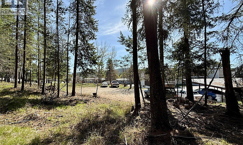 203 Norton Avenue Ki...