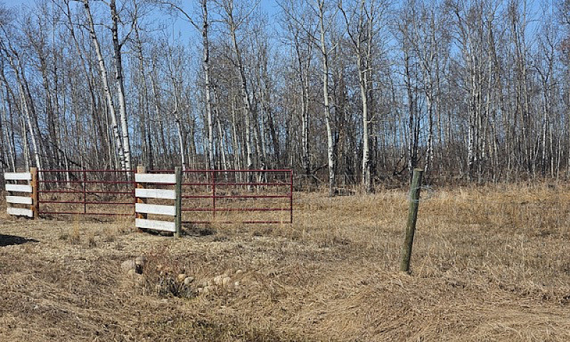 10.08 Acres - Vacant...