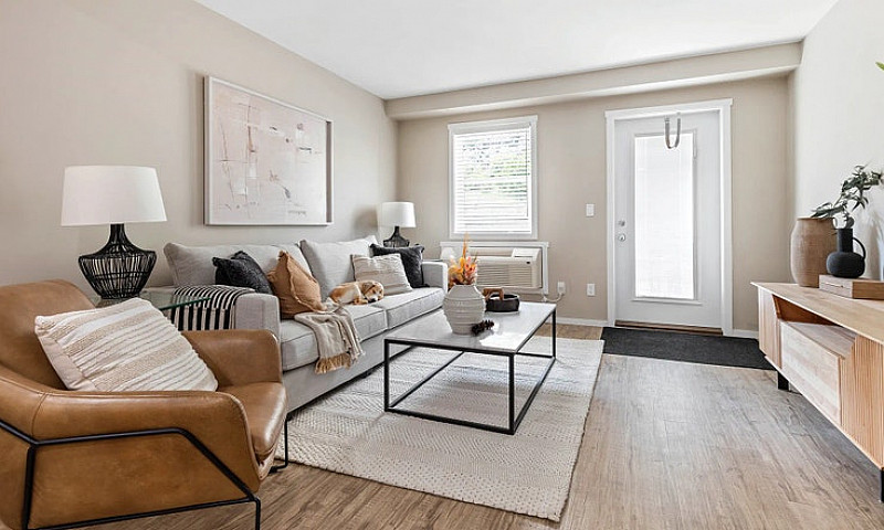 Pet-Friendly Three B...