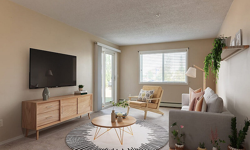 Modern Apartments Wi...