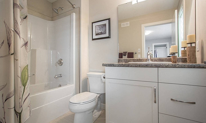 Basement Suite Apart...