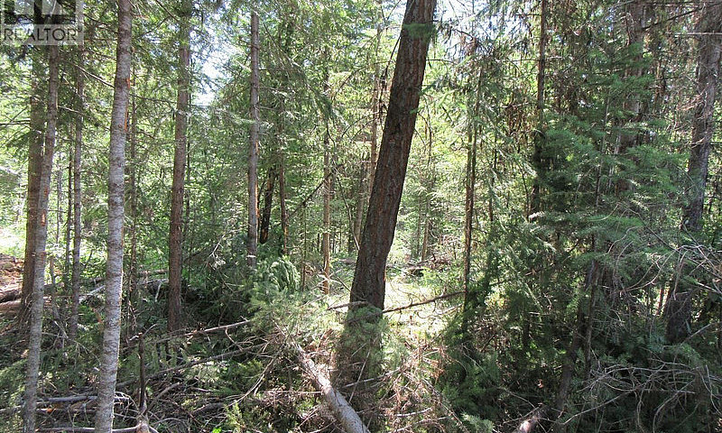 Lot 172 Womack Road ...