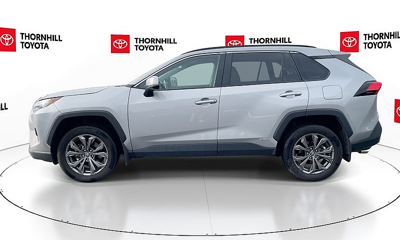 2025 Toyota Rav4 Hyb...