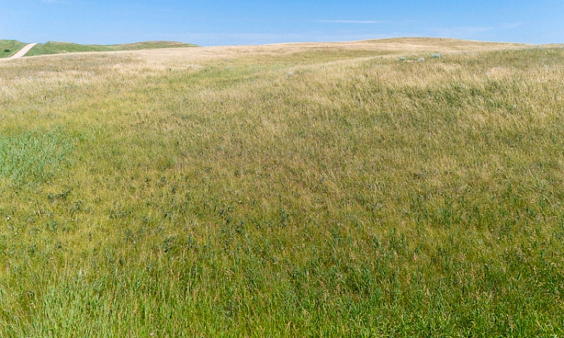 Mixed Use Farmland F...