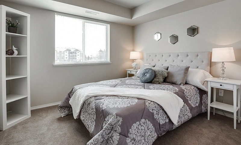 Pet-Friendly One Bed...