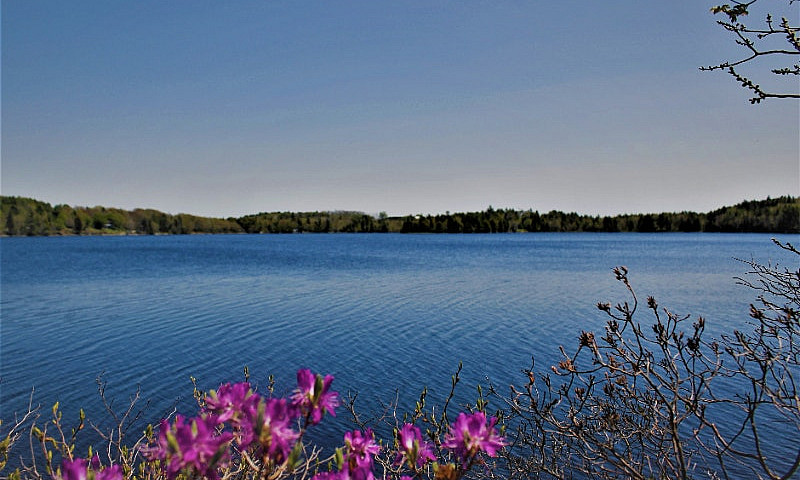 Lewie Lake - 10 Min ...