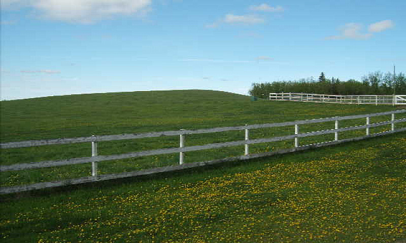 Selling Farm Propert...