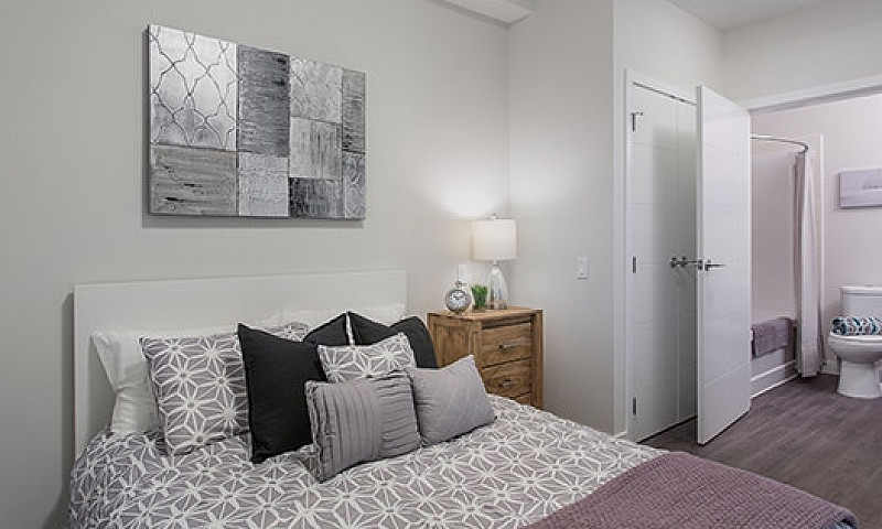1 Bedroom Suites In ...