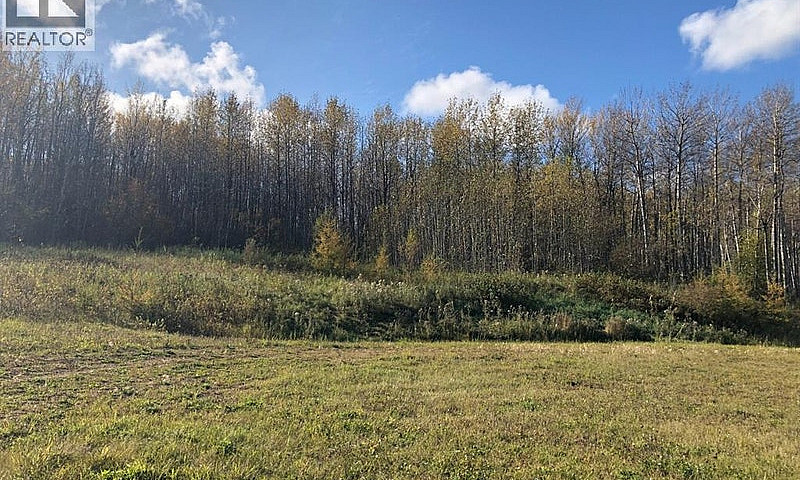 111, 16326 Twp Rd 67...