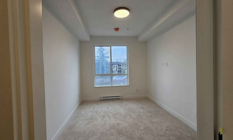 Luxury Penthouse 2 B...