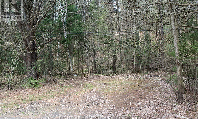 1019 Forrester Trail...