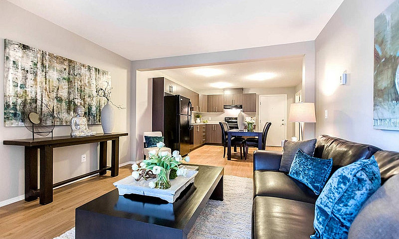 Pet-Friendly One Bed...
