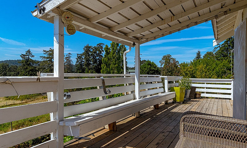 Acreage In The City!...