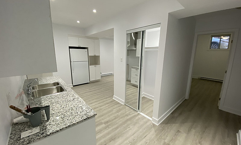 4 ½ Basement In The ...